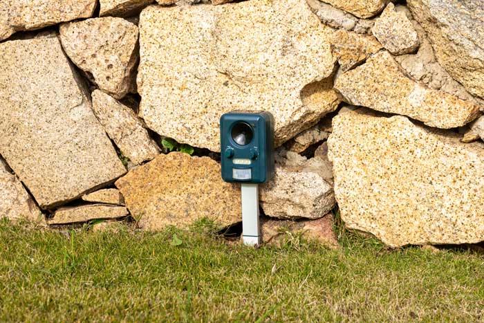 motion sensor and sound emission technology.